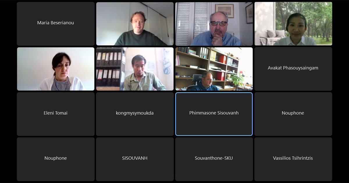 Online meeting screenshot